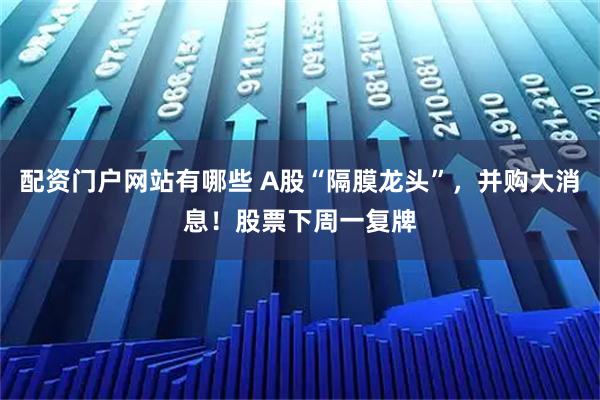 配资门户网站有哪些 A股“隔膜龙头”，并购大消息！股票下周一复牌