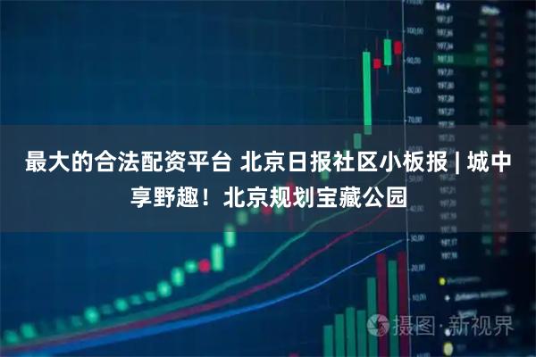 最大的合法配资平台 北京日报社区小板报 | 城中享野趣！北京规划宝藏公园